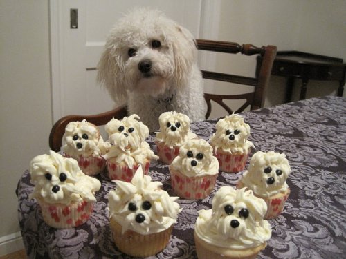 dog puppy cupcakes