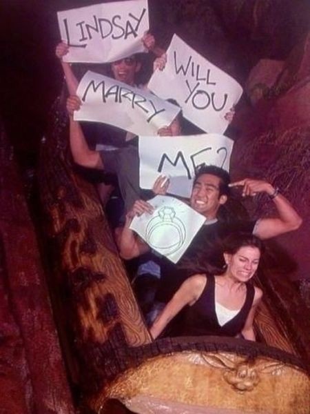 log flume proposal