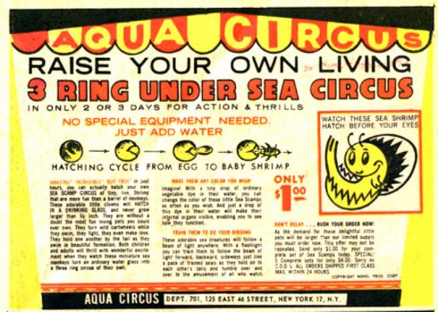 aqua circus comic book ad