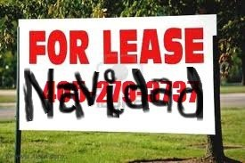 For lease navidad