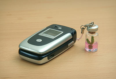 mini pet cactus cell phone charm