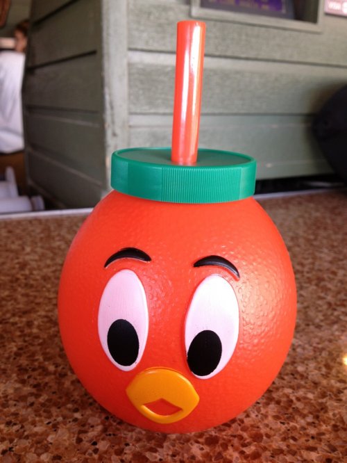 orange bird cup