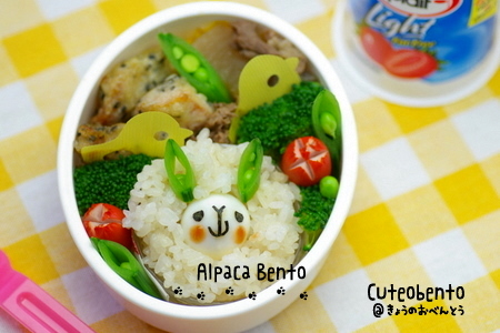 alpaca bento box