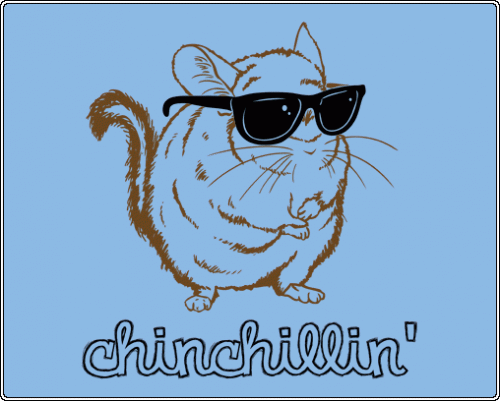 chincillin t-shirt