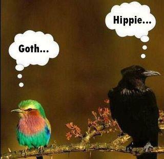 goth hippie birds