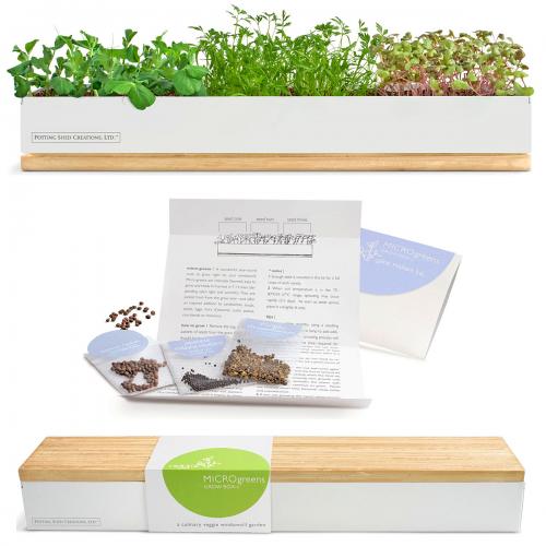 microgreens kit