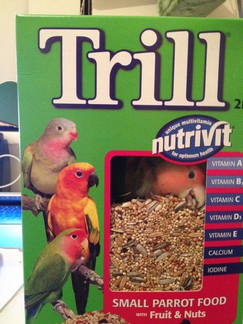 parrot in a bird seed box