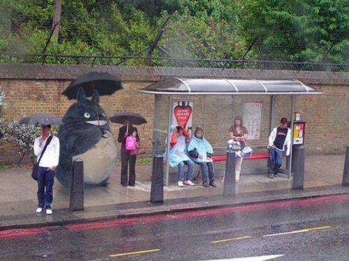 totoro waiting for the bus