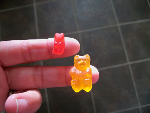 miniature gummy bears